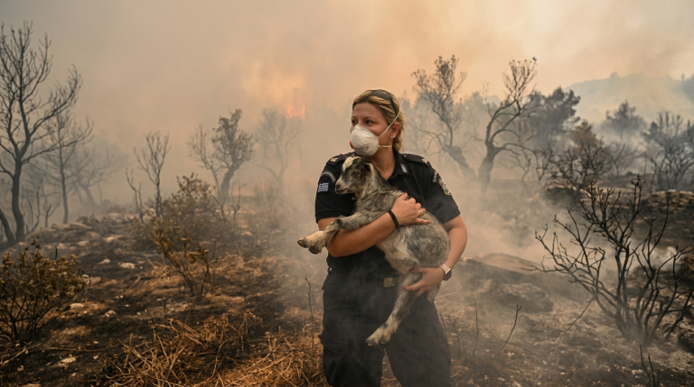 Greek Officer Rescues Baby Goat From Active Wildfire